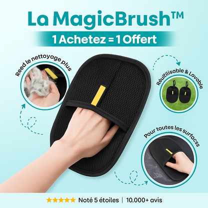 La Magic Brush™ - Un geste, et les poils disparaissent